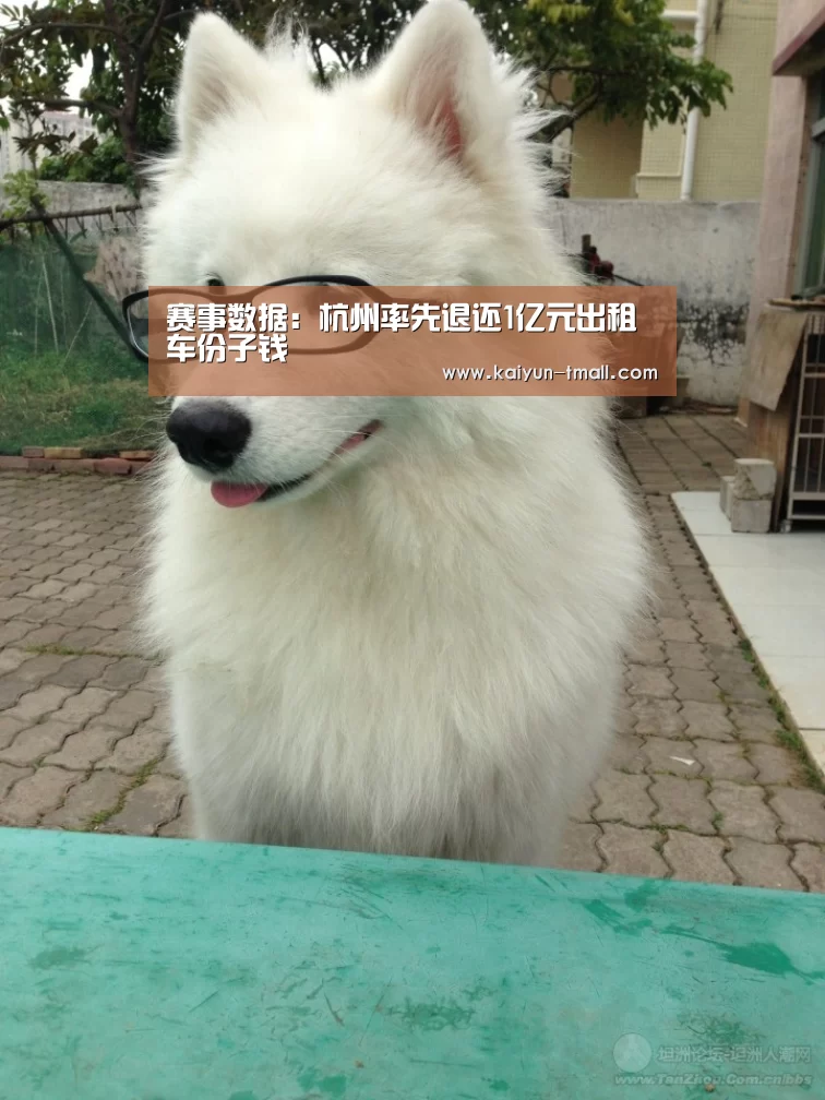 开云官网